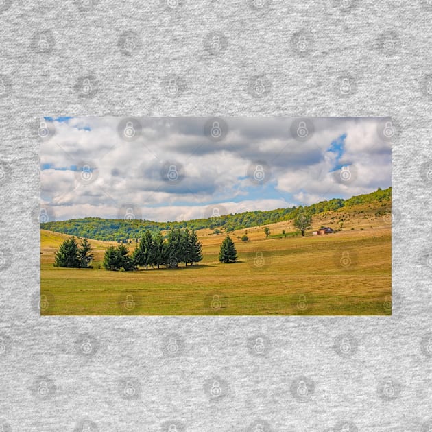 Summer Landscape Near Gornje Ratkovo, Bosnia by jojobob